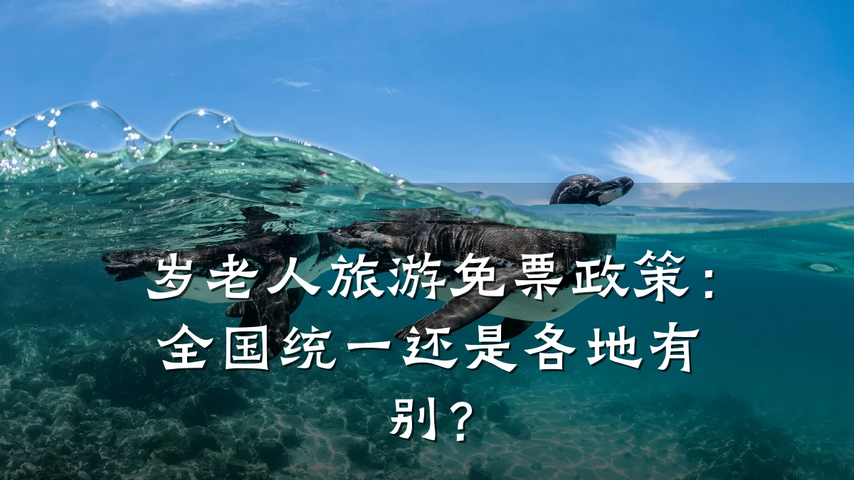 岁老人旅游免票政策：全国统一还是各地有别？