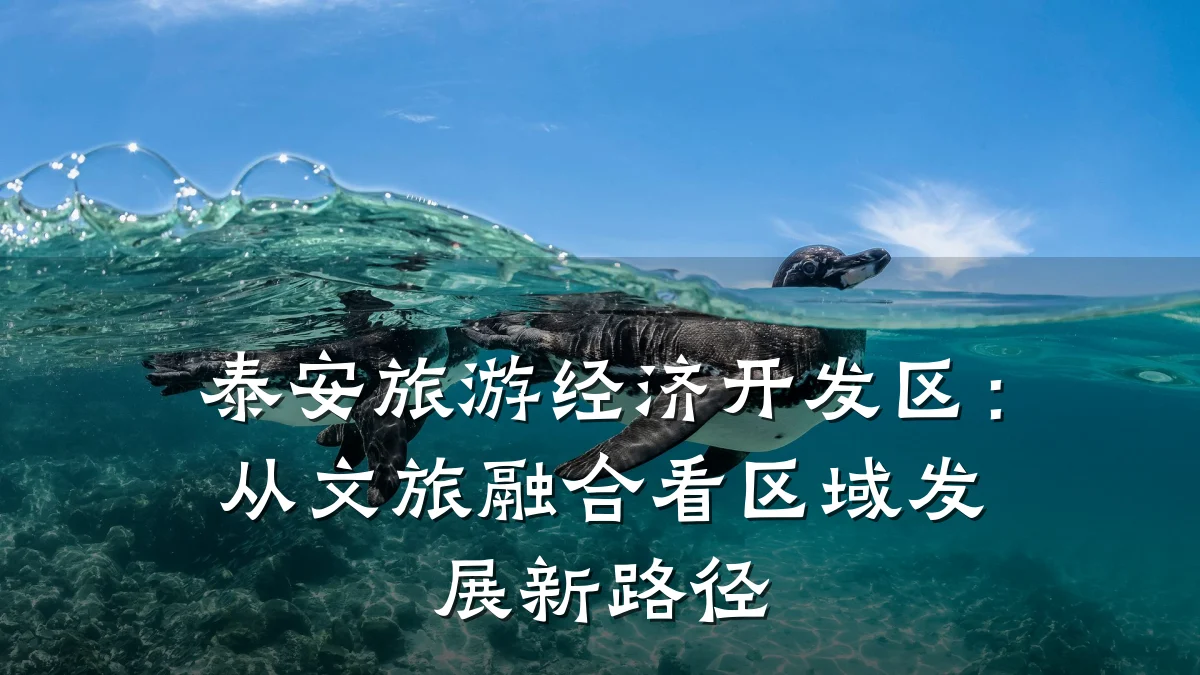 泰安旅游经济开发区:从文旅融合看区域发展新路径