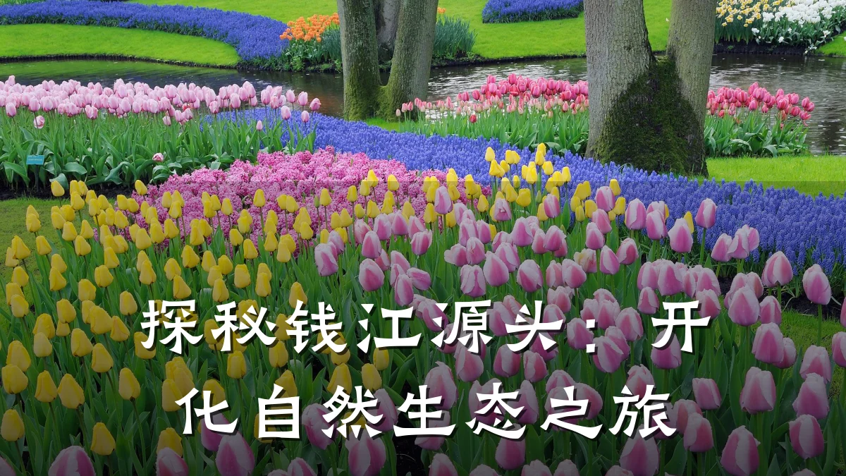 探秘钱江源头:开化自然生态之旅