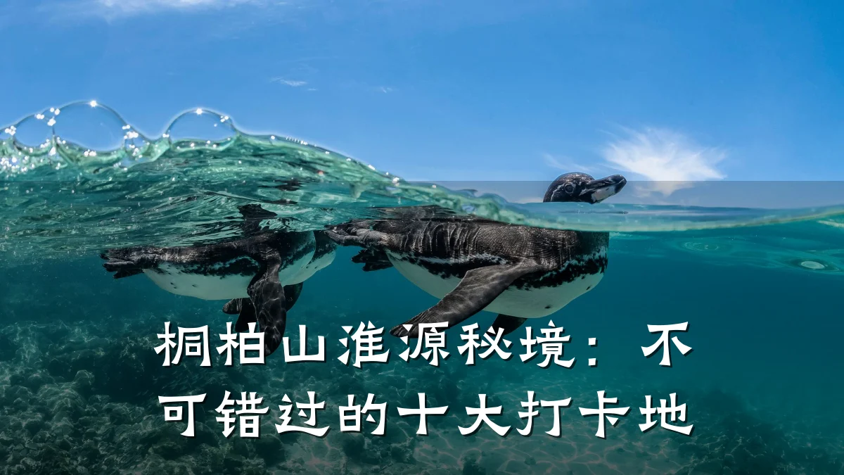 桐柏山淮源秘境:不可错过的十大打卡地