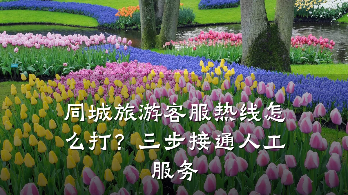 同城旅游客服热线怎么打?三步接通人工服务