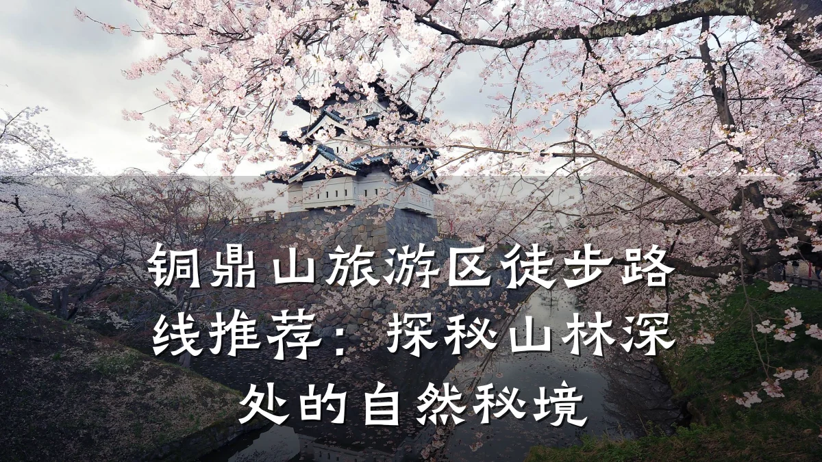 铜鼎山旅游区徒步路线推荐:探秘山林深处的自然秘境
