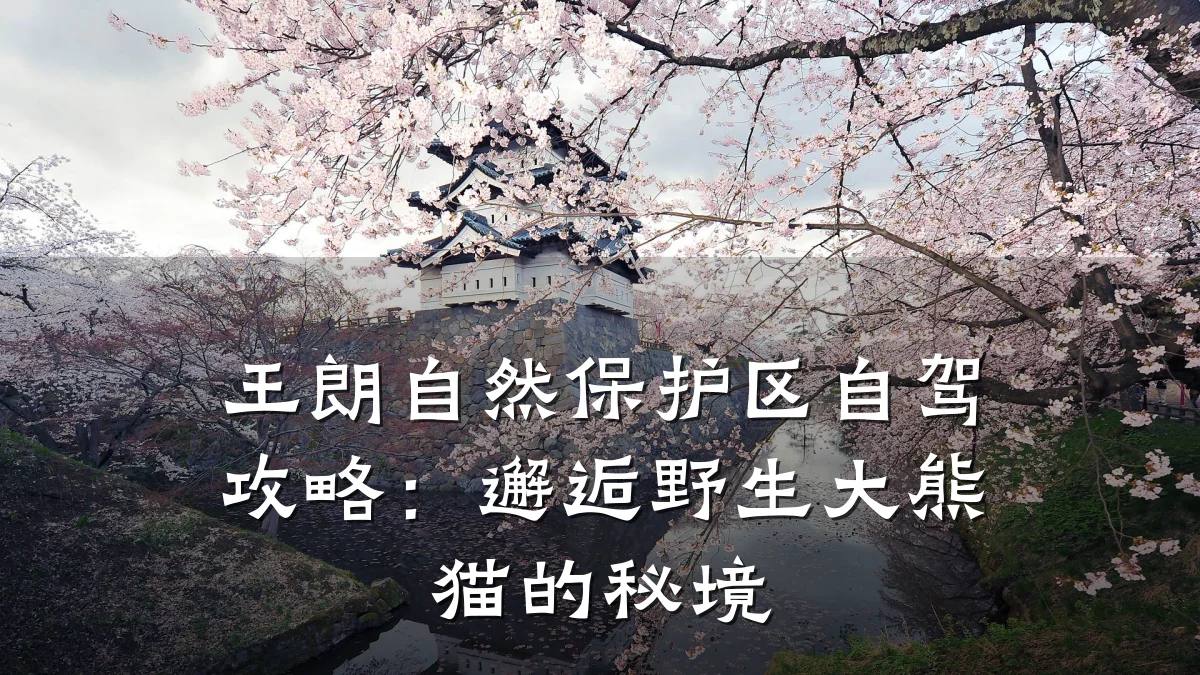 王朗自然保护区自驾攻略:邂逅野生大熊猫的秘境