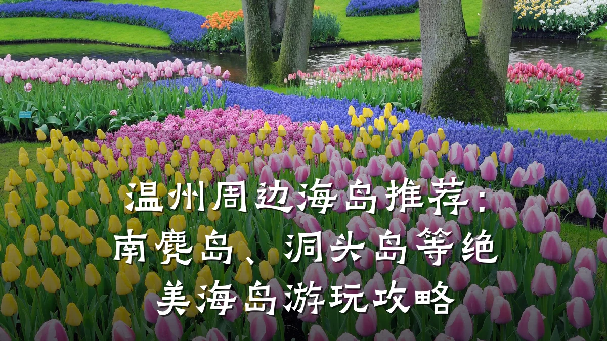 温州周边海岛推荐:南麂岛、洞头岛等绝美海岛游玩攻略