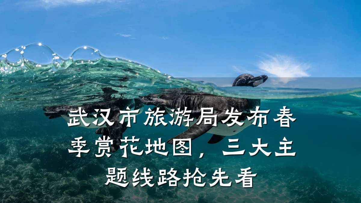 武汉市旅游局发布春季赏花地图,三大主题线路抢先看
