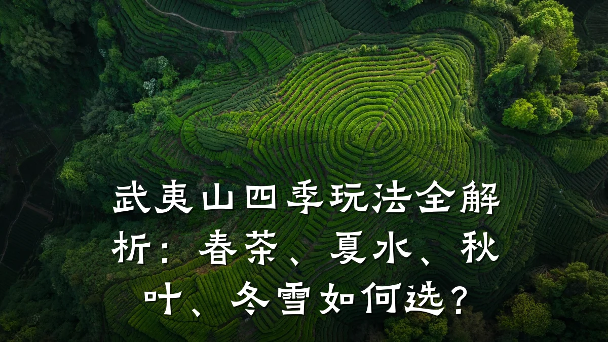 武夷山四季玩法全解析:春茶、夏水、秋叶、冬雪如何选?