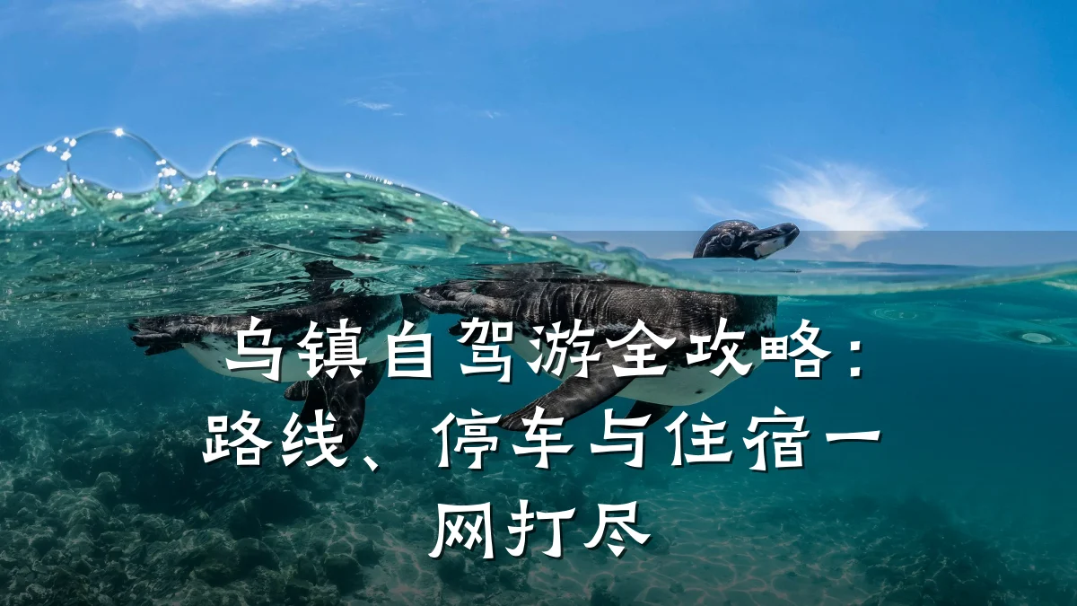 乌镇自驾游全攻略:路线、停车与住宿一网打尽