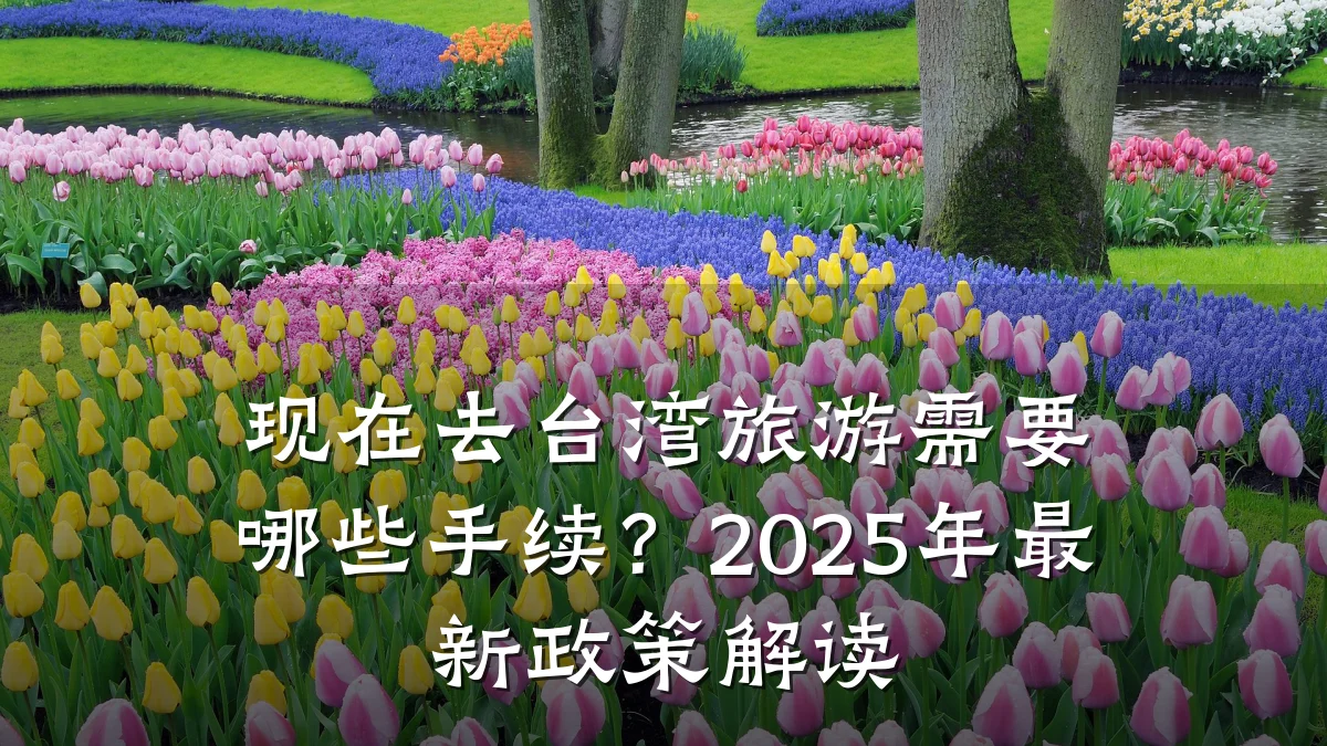 现在去台湾旅游需要哪些手续?2025年最新政策解读