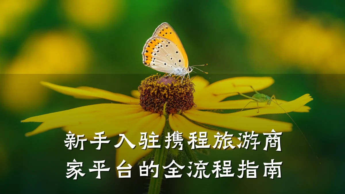 新手入驻携程旅游商家平台的全流程指南