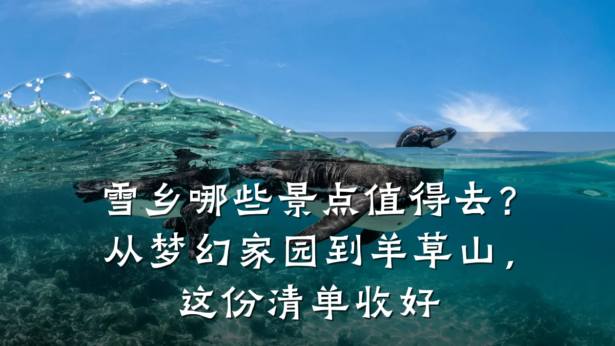 雪乡哪些景点值得去?从梦幻家园到羊草山,这份清单收好
