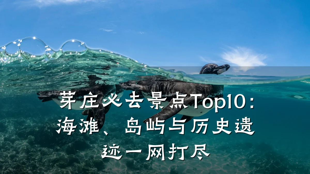 芽庄必去景点Top10:海滩、岛屿与历史遗迹一网打尽