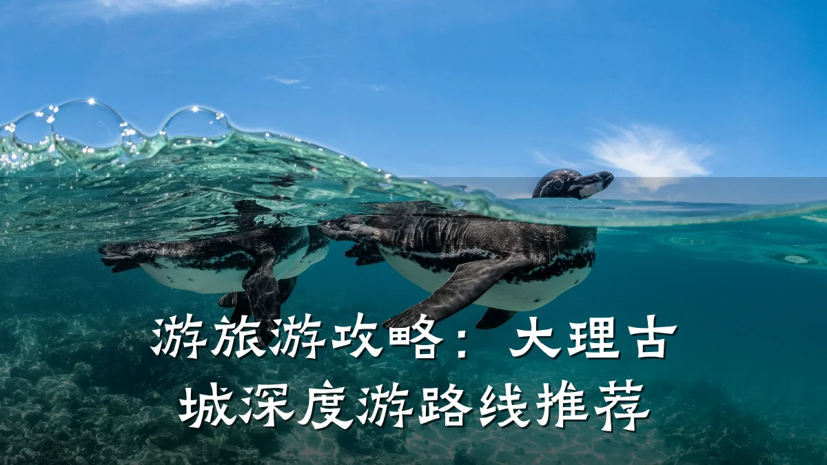 游旅游攻略:大理古城深度游路线推荐