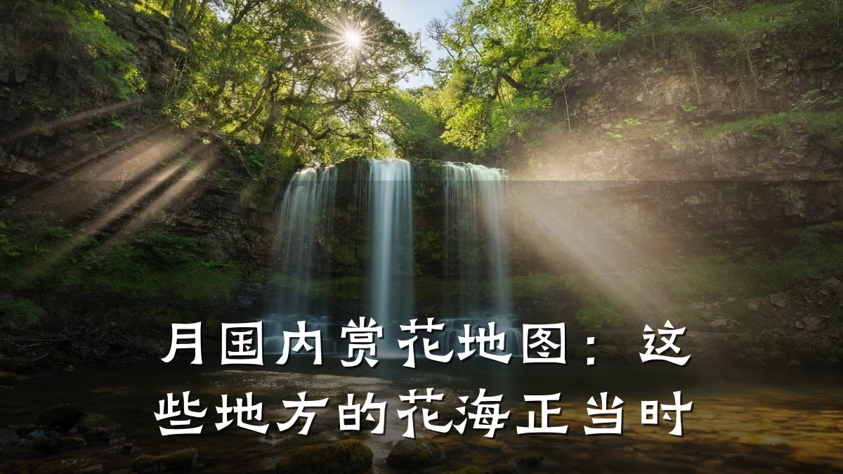 月国内赏花地图:这些地方的花海正当时