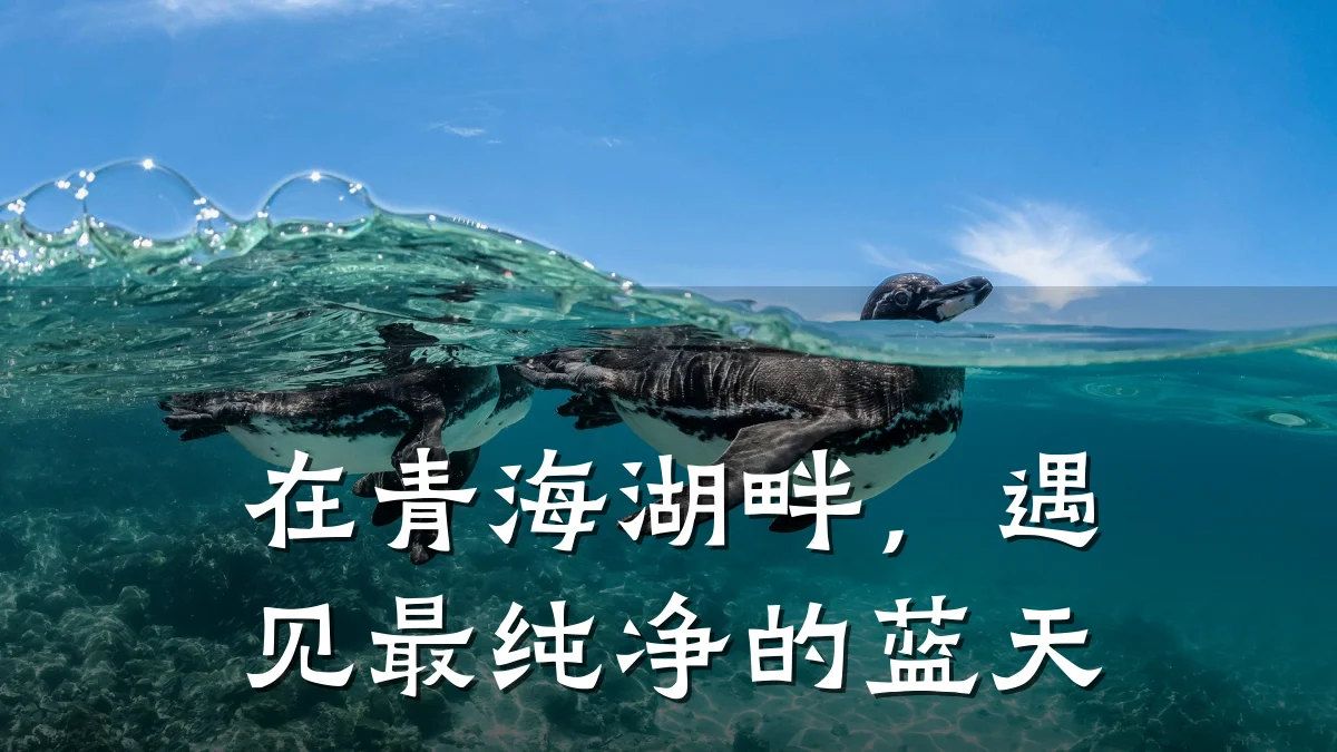 在青海湖畔,遇见最纯净的蓝天