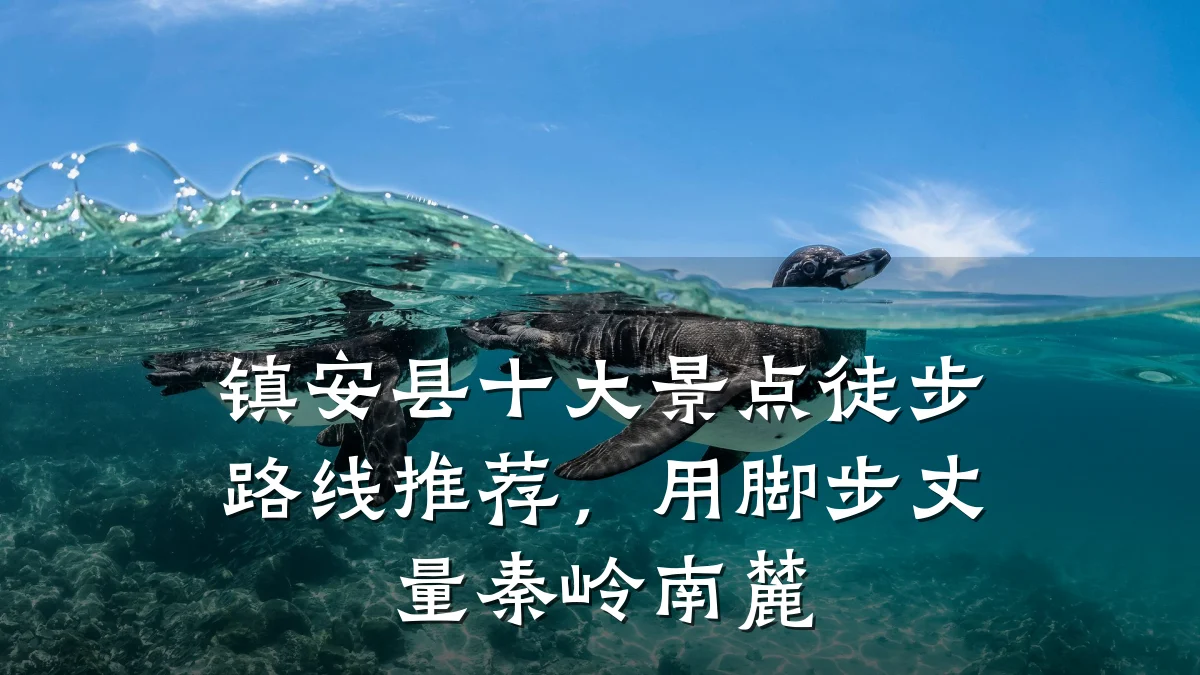 镇安县十大景点徒步路线推荐,用脚步丈量秦岭南麓