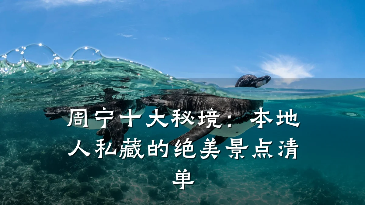 周宁十大秘境：本地人私藏的绝美景点清单