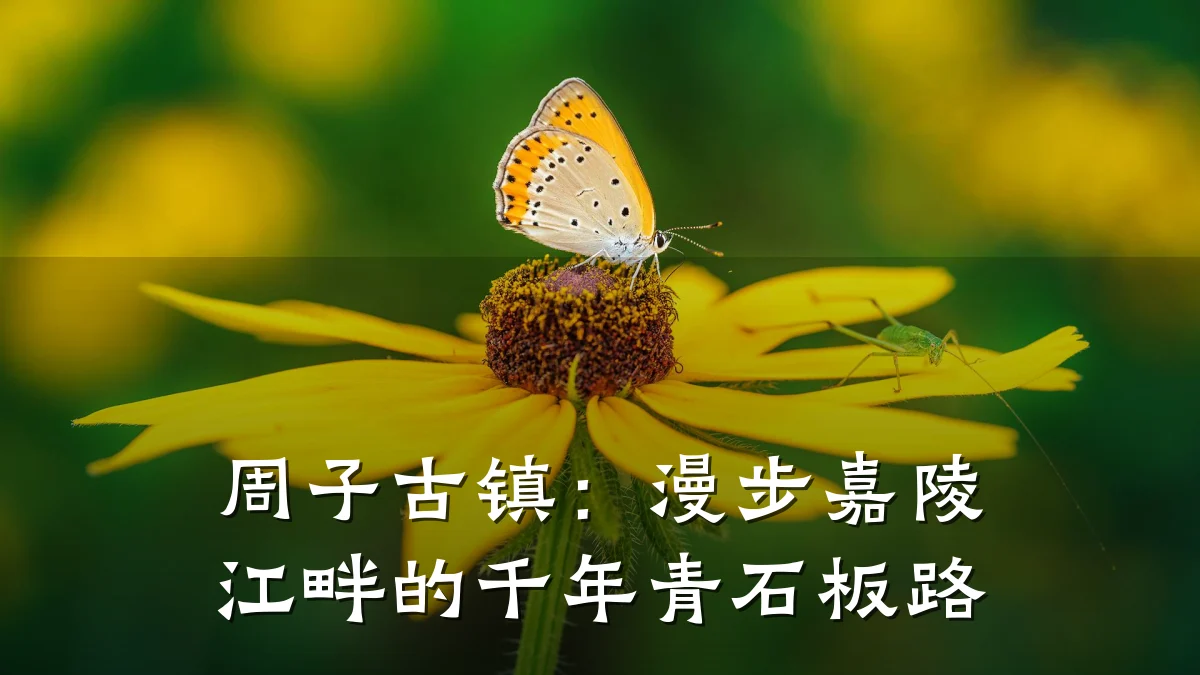 周子古镇：漫步嘉陵江畔的千年青石板路