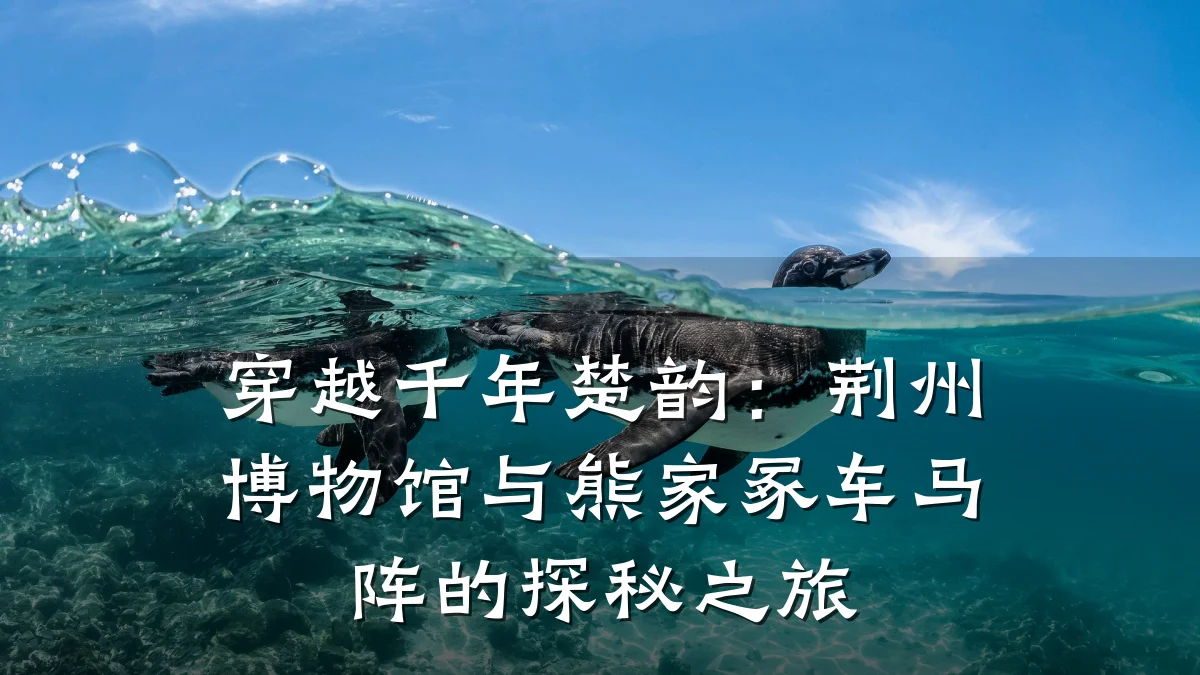 穿越千年楚韵:荆州博物馆与熊家冢车马阵的探秘之旅