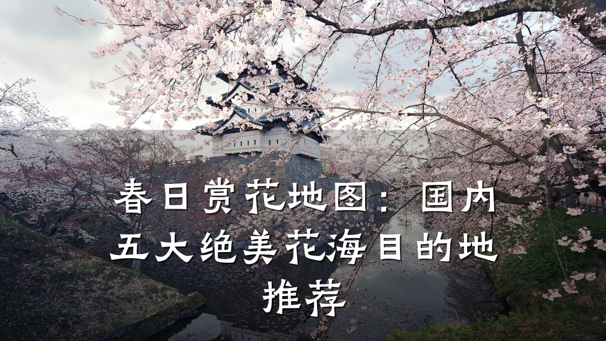 春日赏花地图:国内五大绝美花海目的地推荐