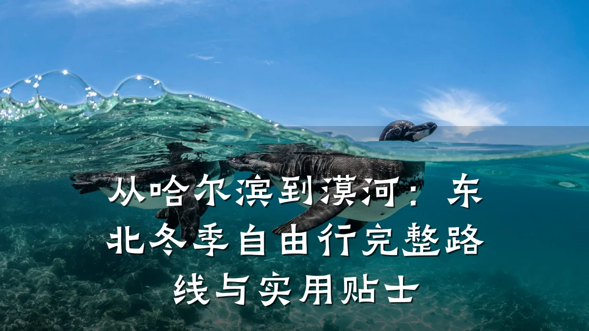 从哈尔滨到漠河:东北冬季自由行完整路线与实用贴士