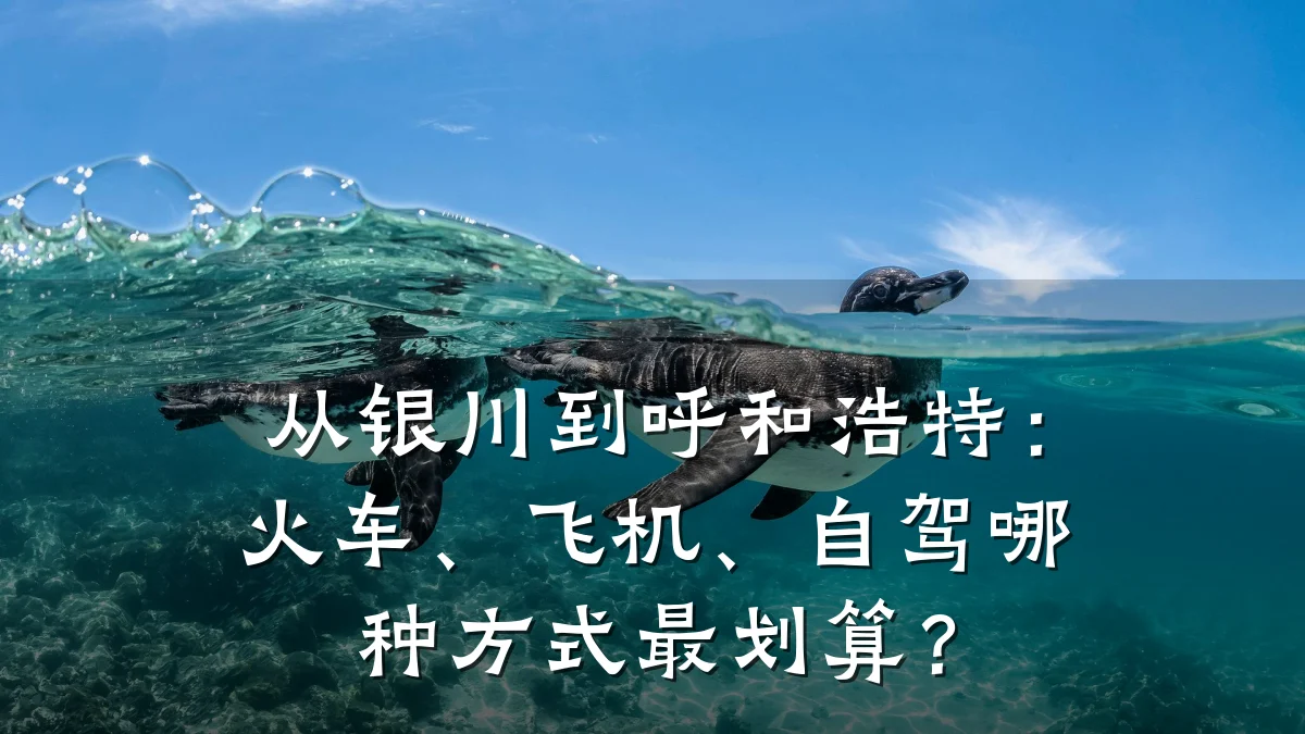 从银川到呼和浩特:火车、飞机、自驾哪种方式最划算?