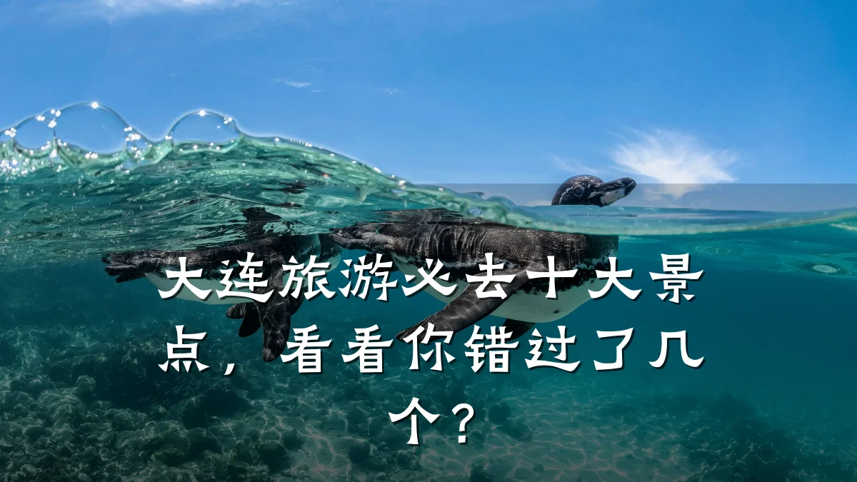 大连旅游必去十大景点,看看你错过了几个?