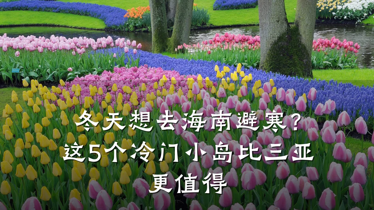 冬天想去海南避寒?这5个冷门小岛比三亚更值得