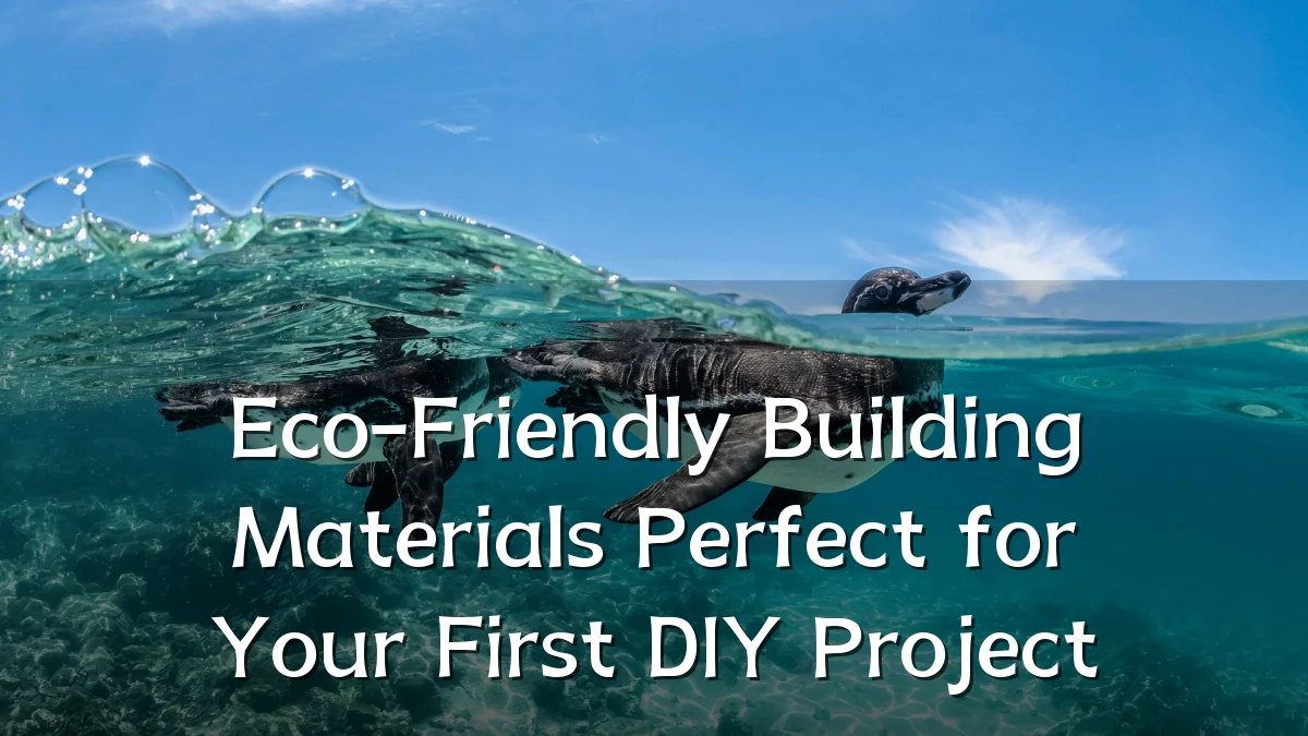Eco-Friendly Building Materials Perfect for Your First DIY Project