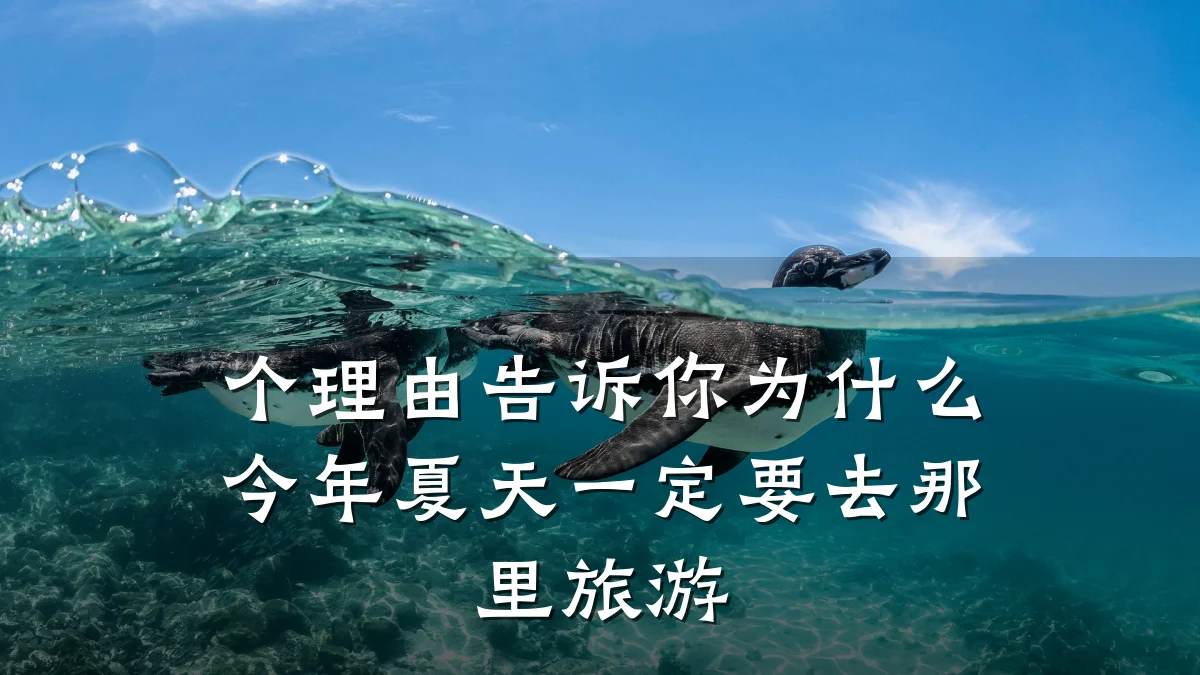 个理由告诉你为什么今年夏天一定要去那里旅游