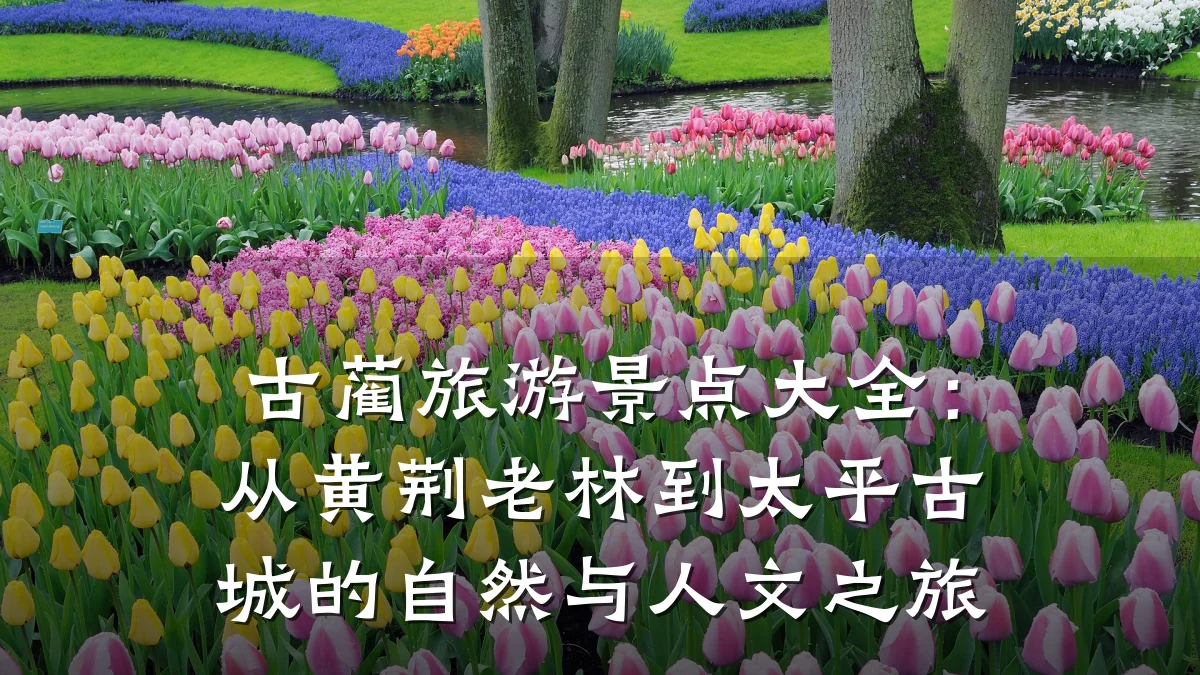 古蔺旅游景点大全:从黄荆老林到太平古城的自然与人文之旅