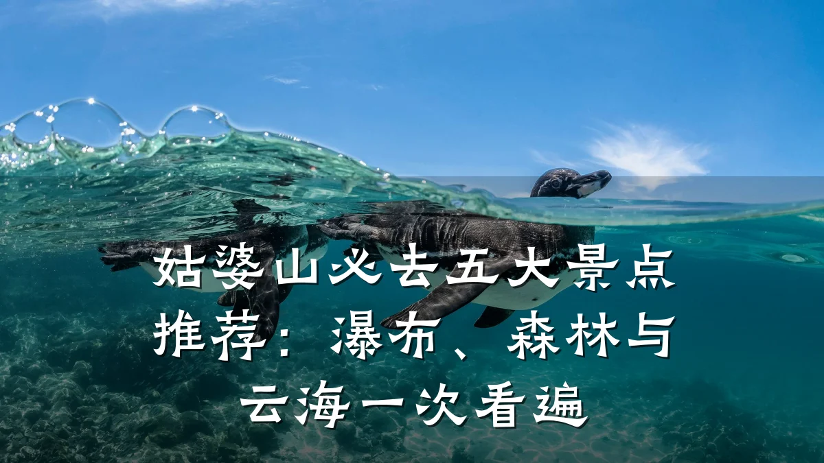 姑婆山必去五大景点推荐:瀑布、森林与云海一次看遍