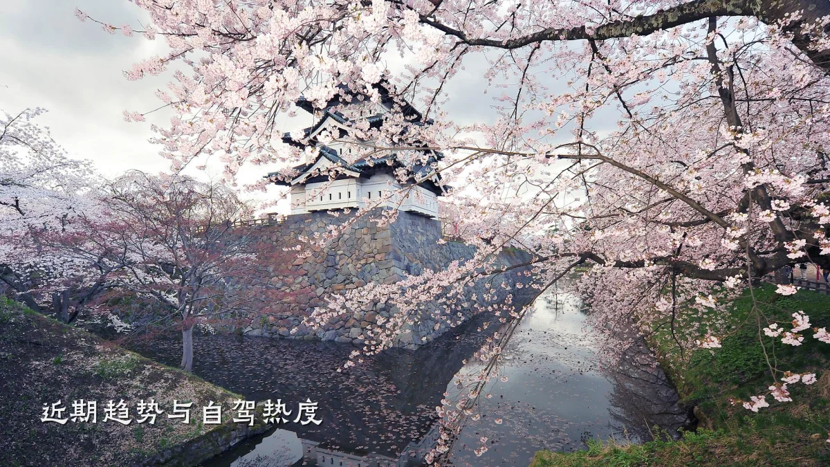 近期趋势与自驾热度