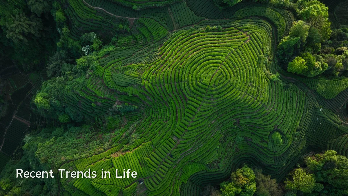 Recent Trends in Life