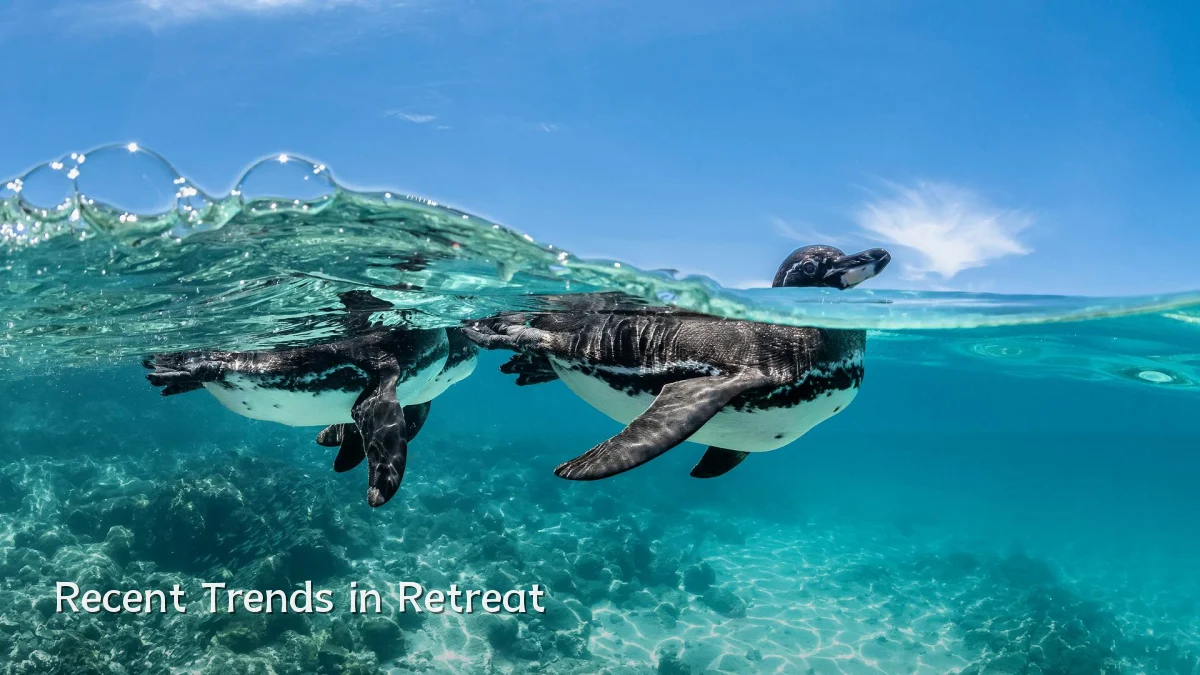 Recent Trends in Retreat