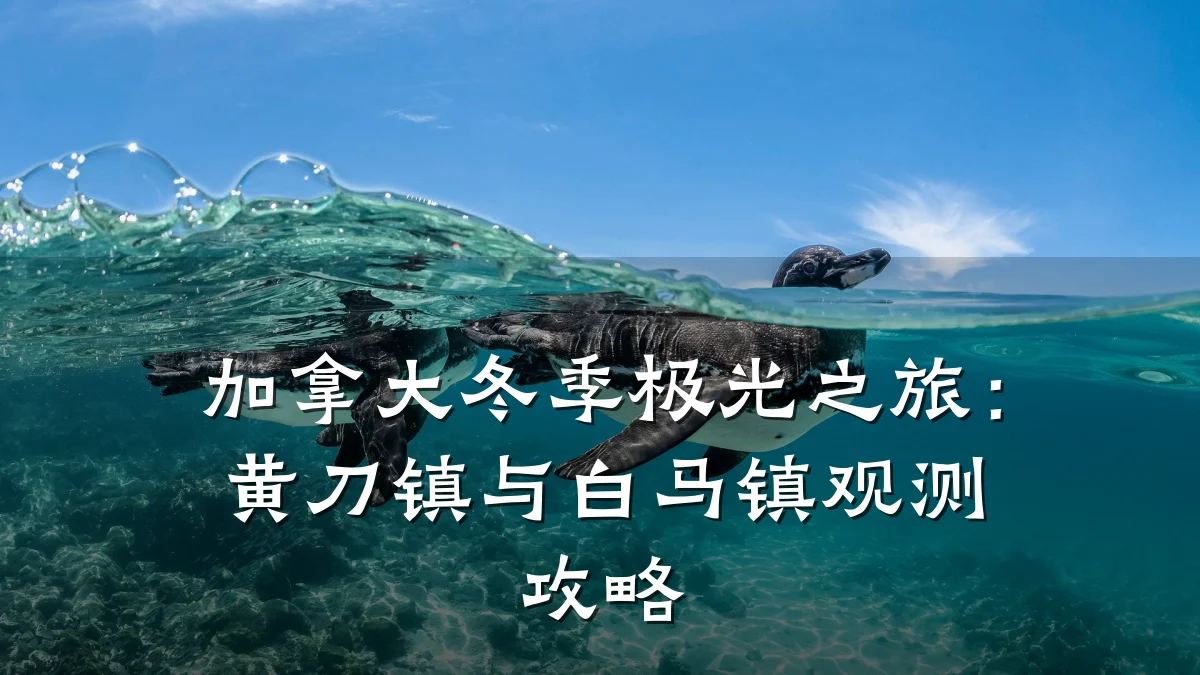 加拿大冬季极光之旅:黄刀镇与白马镇观测攻略