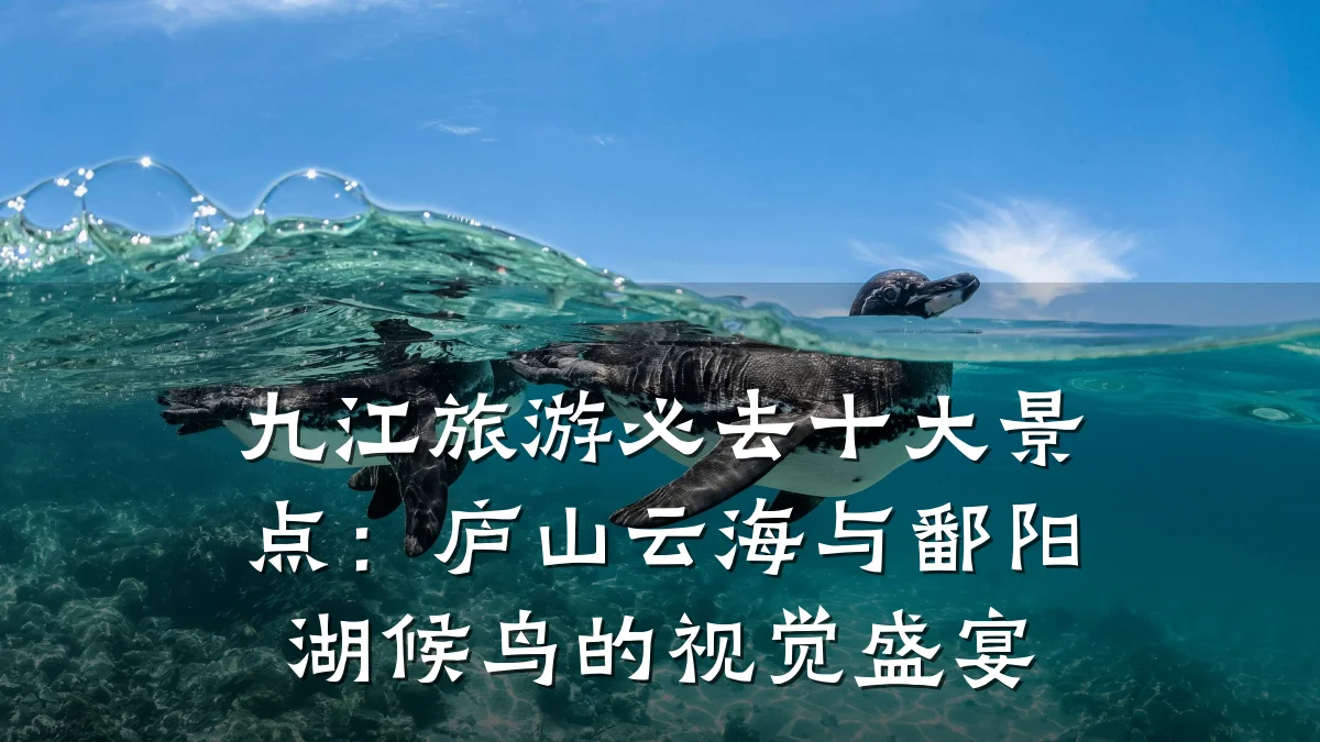 九江旅游必去十大景点:庐山云海与鄱阳湖候鸟的视觉盛宴