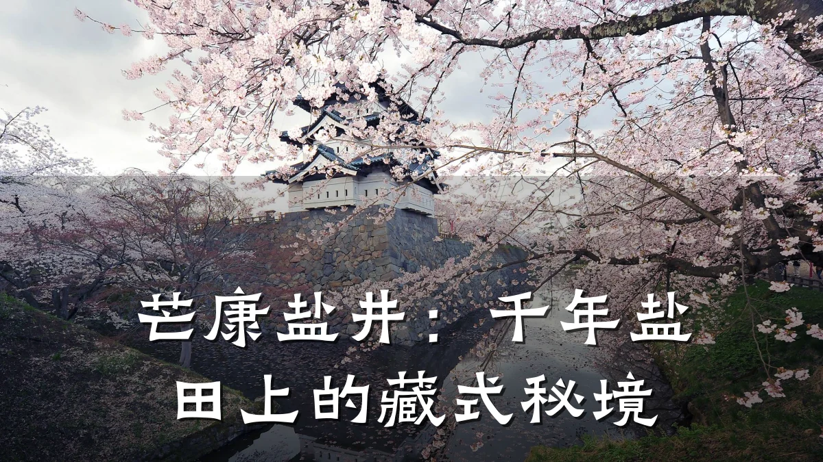 芒康盐井:千年盐田上的藏式秘境