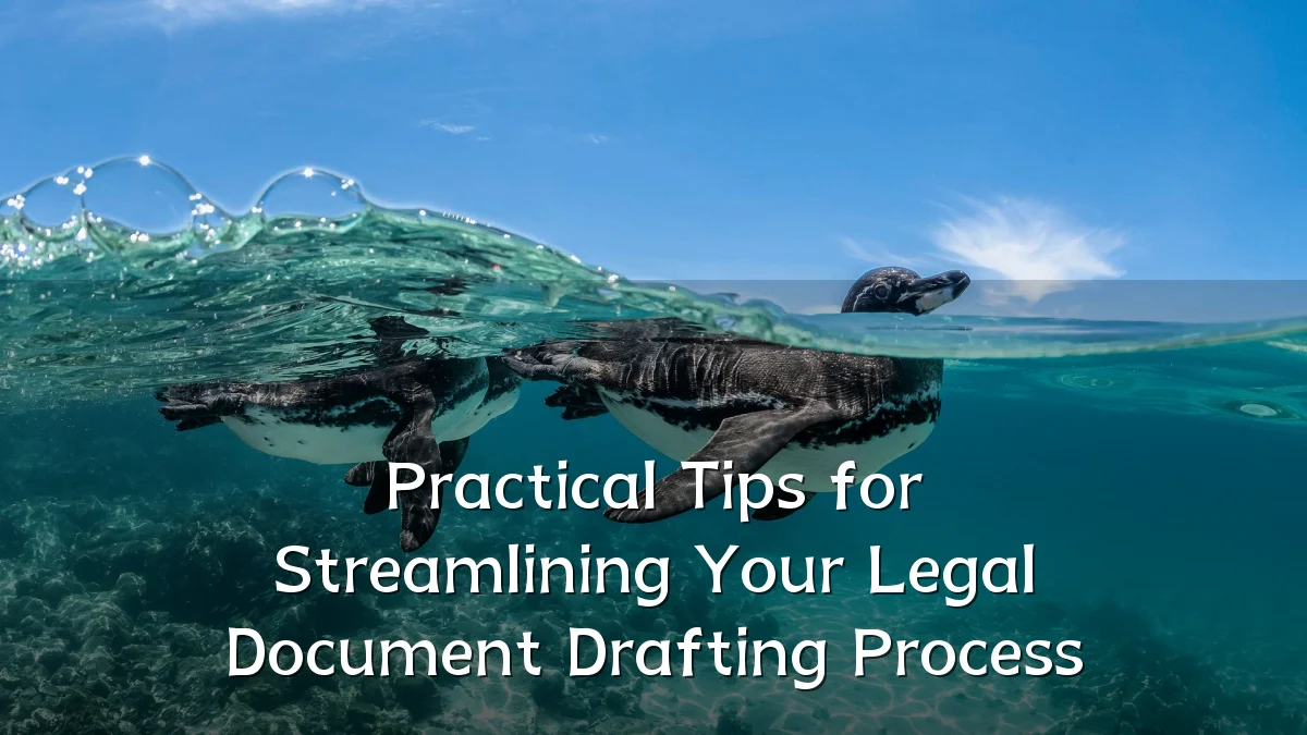 Practical Tips for Streamlining Your Legal Document Drafting Process