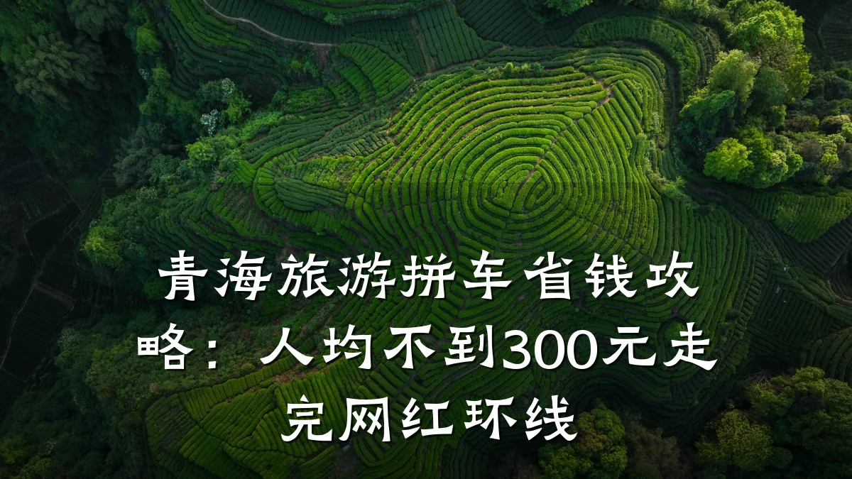 青海旅游拼车省钱攻略:人均不到300元走完网红环线