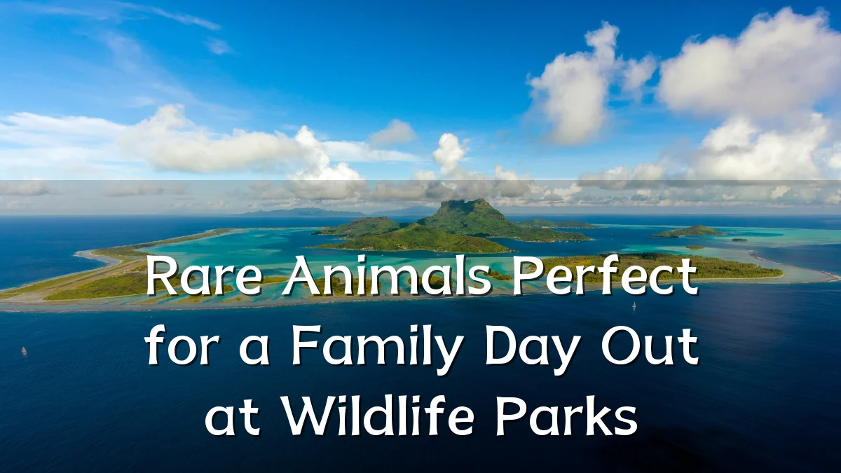 Rare Animals Perfect for a Family Day Out at Wildlife Parks