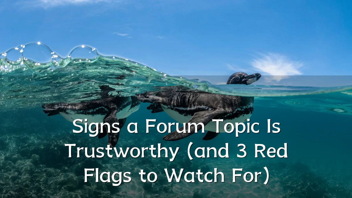 Signs a Forum Topic Is Trustworthy (and 3 Red Flags to Watch For)