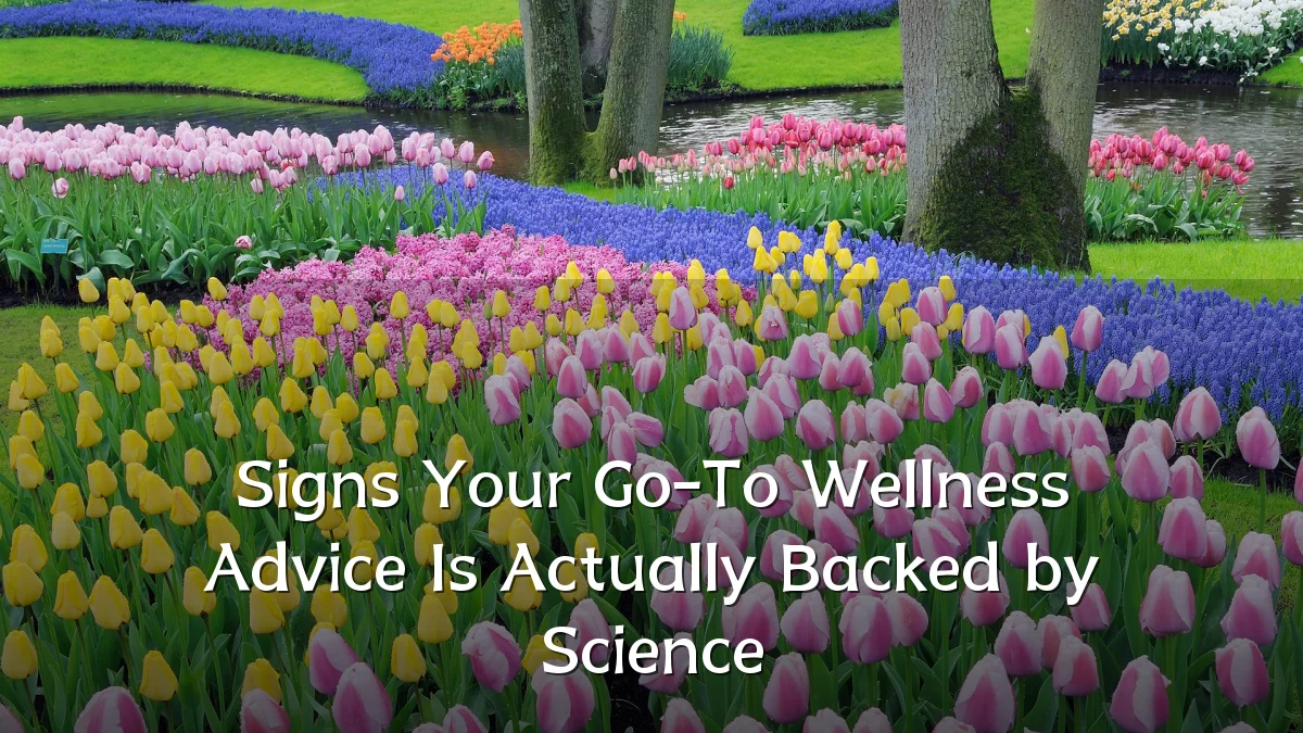 Signs Your Go-To Wellness Advice Is Actually Backed by Science