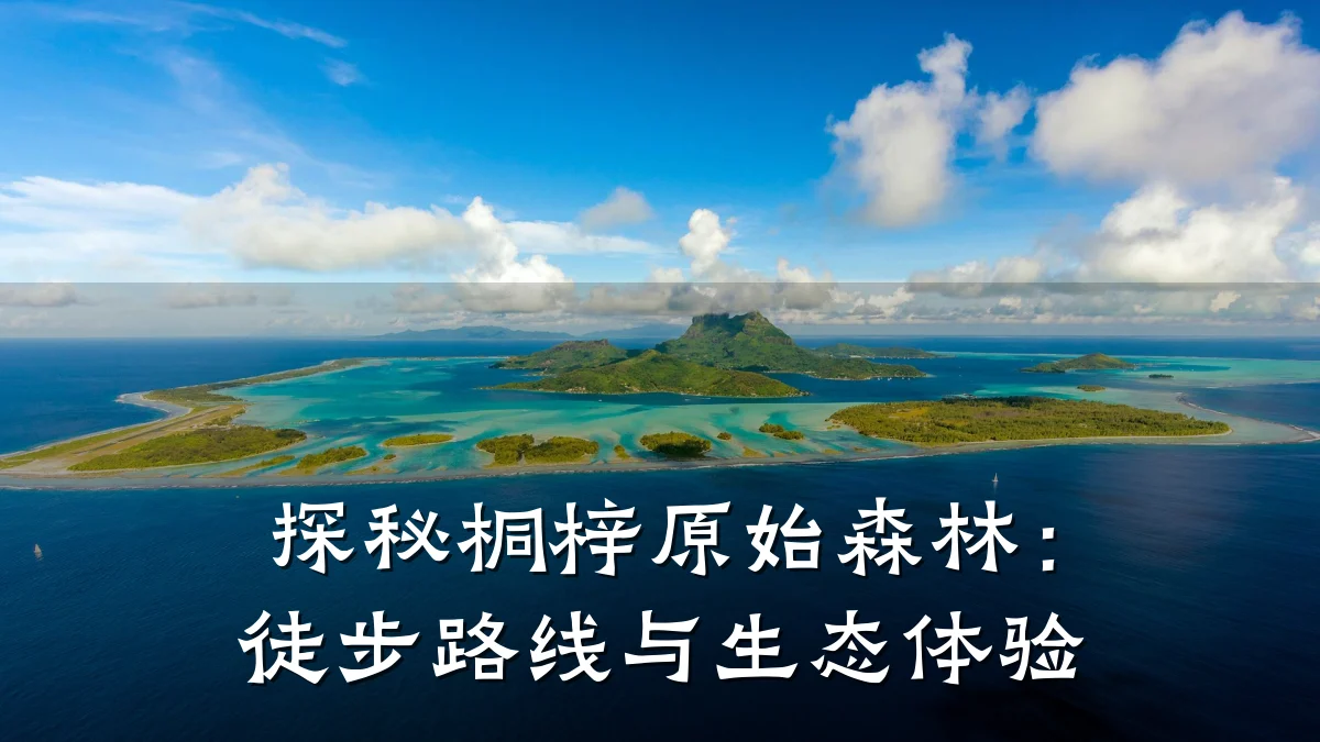 探秘桐梓原始森林:徒步路线与生态体验