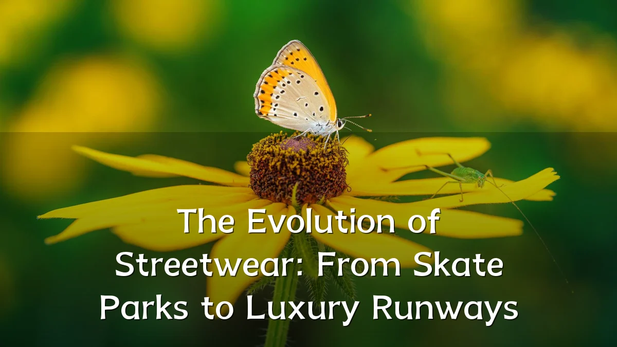 The Evolution of Streetwear: From Skate Parks to Luxury Runways