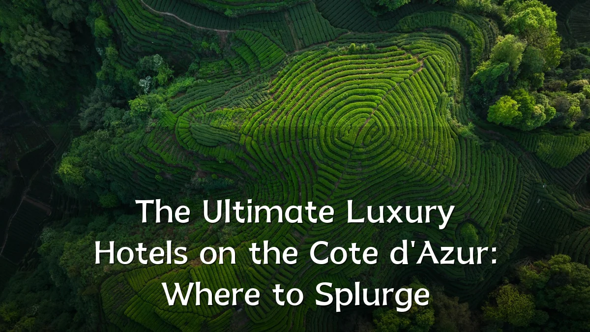 The Ultimate Luxury Hotels on the Cote d'Azur: Where to Splurge