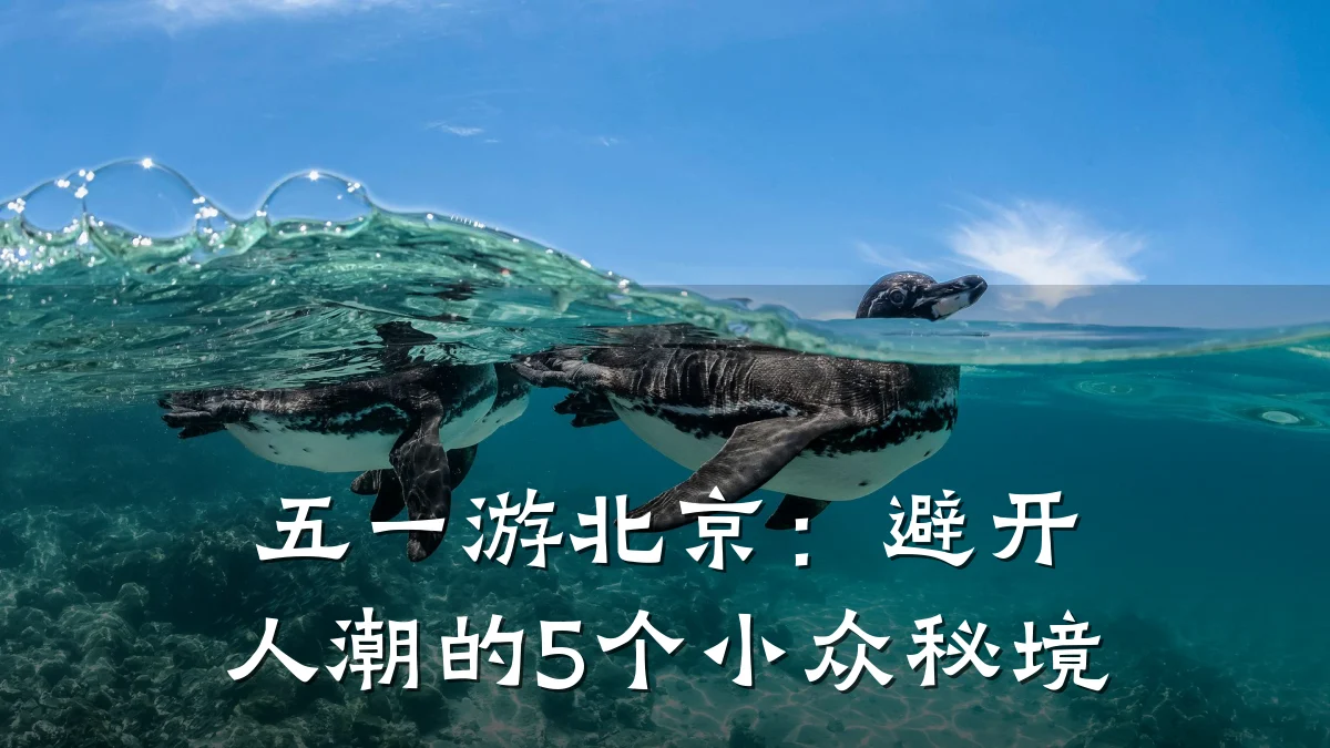 五一游北京:避开人潮的5个小众秘境