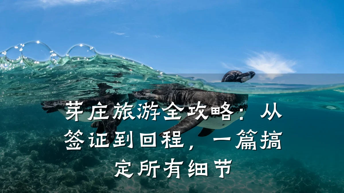 芽庄旅游全攻略:从签证到回程,一篇搞定所有细节