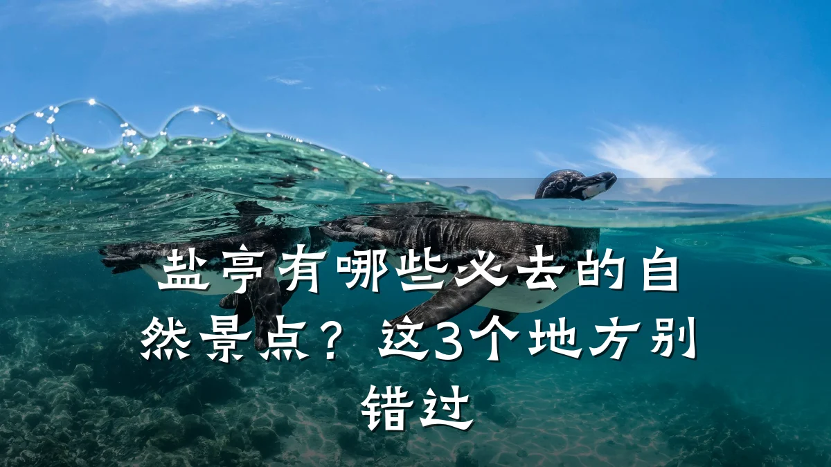 盐亭有哪些必去的自然景点?这3个地方别错过