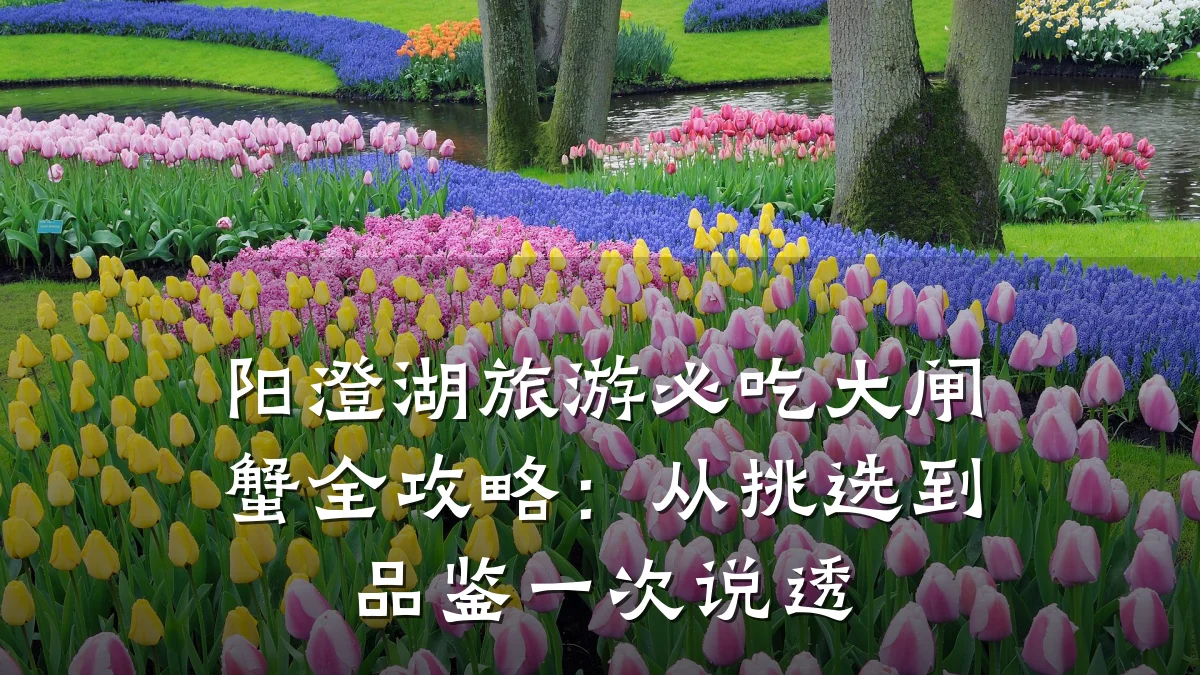 阳澄湖旅游必吃大闸蟹全攻略：从挑选到品鉴一次说透