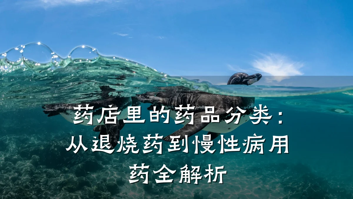 药店里的药品分类:从退烧药到慢性病用药全解析